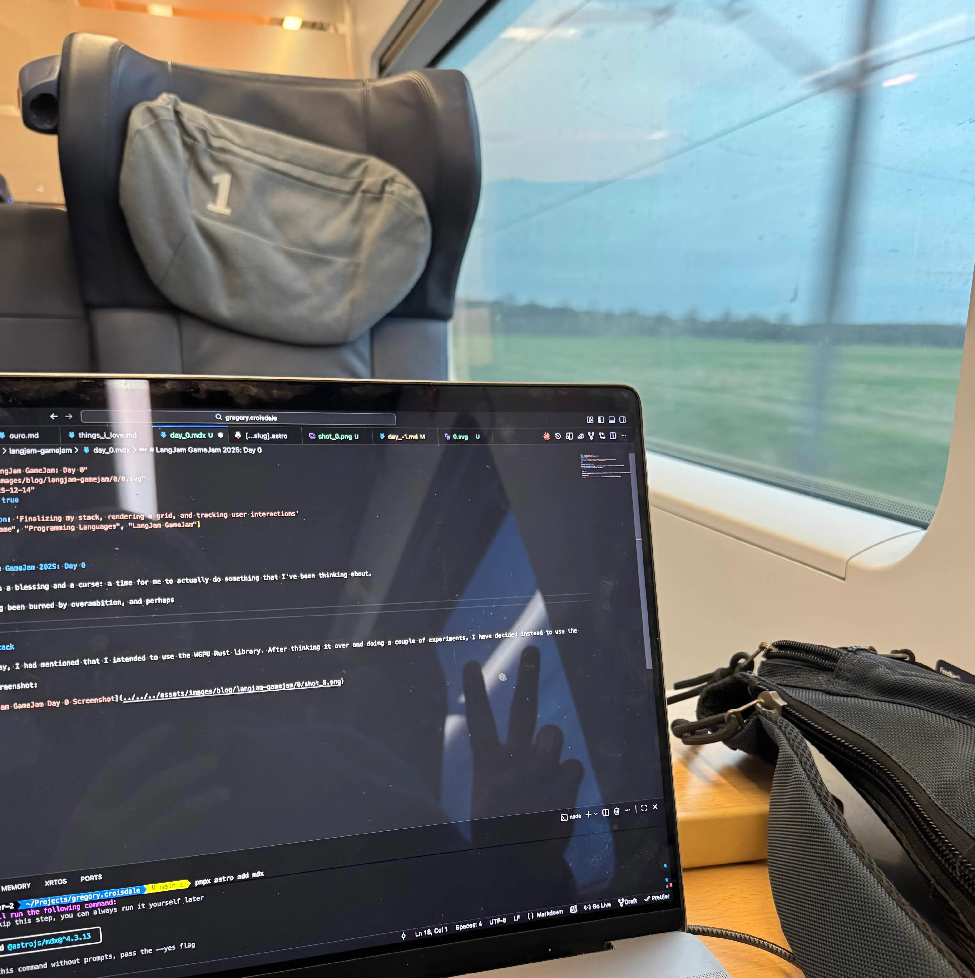 Photo of me on the train